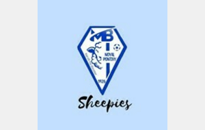68cd22f97e112_SHEEPIES.jpg