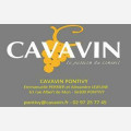 CAVAVIN